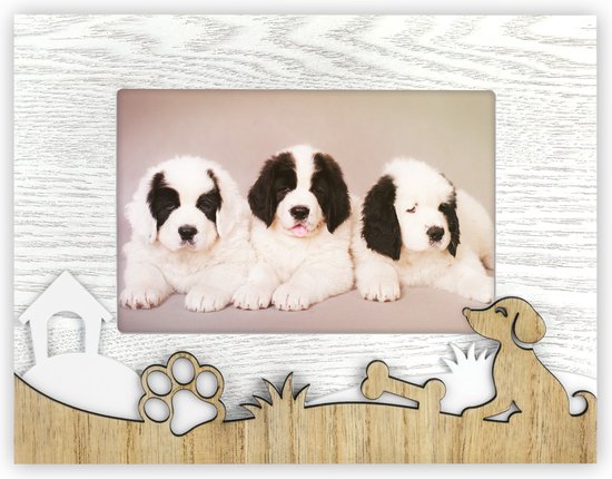 Fotolijstje hond - Fotolijsten kopen? | Korting tot 50 Fotolijstje hond - Fotolijsten kopen? | Korting tot 50