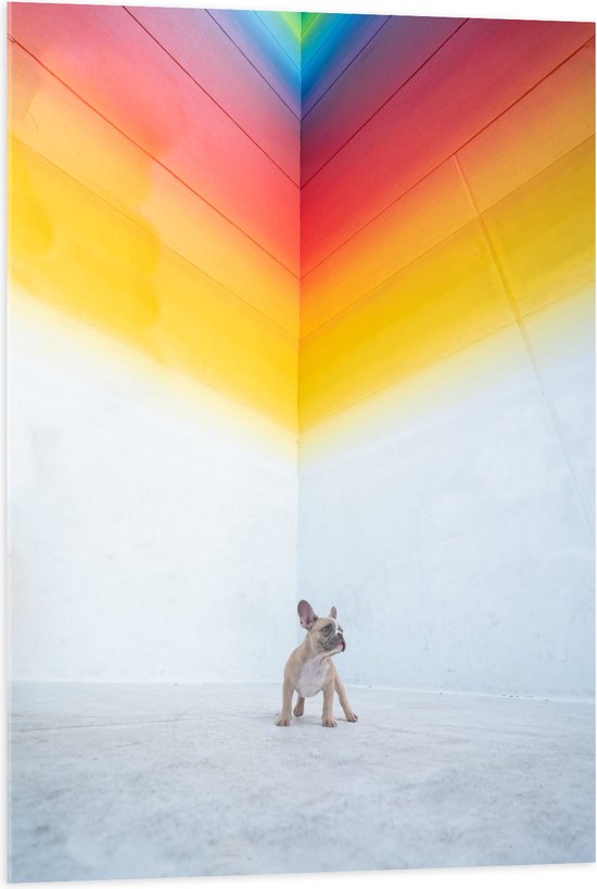 WallClassics - Acrylglas - Puppy onder Regenboog Street Art - 70x105 cm Foto op Acrylglas (Met Ophangsysteem)
