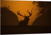 WallClassics - Dibond - Silhouette de Cerf - 120x80 cm Photo sur Aluminium (Décoration murale en métal)