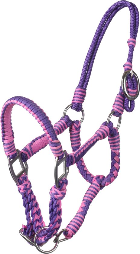 Paars met roze gestreept gevlochten halster met zilverkleurige gespen.