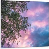 Dibond - Boom met Paars Blauwe Lucht - 100x100 cm Foto op Aluminium (Wanddecoratie van metaal)