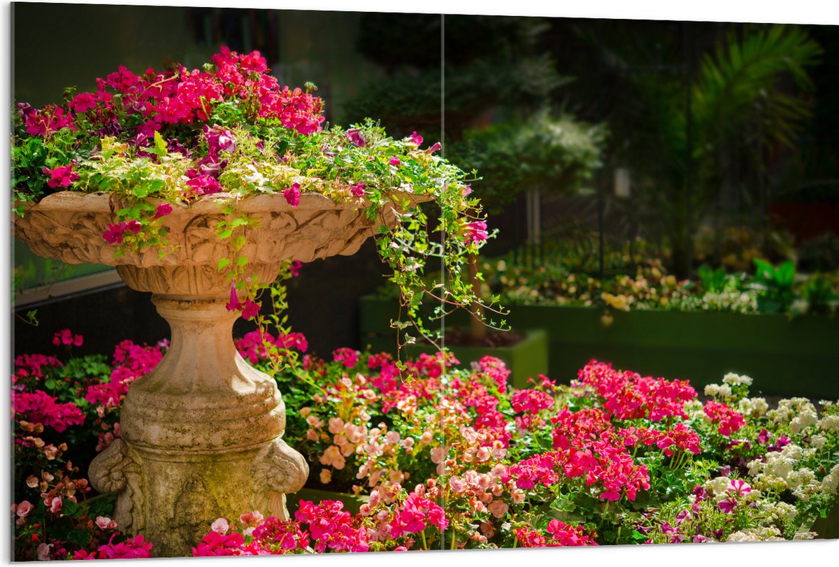 Acrylglas - Felroze Bloemen uit Fontein - 120x80 cm Foto op Acrylglas (Met Ophangsysteem)