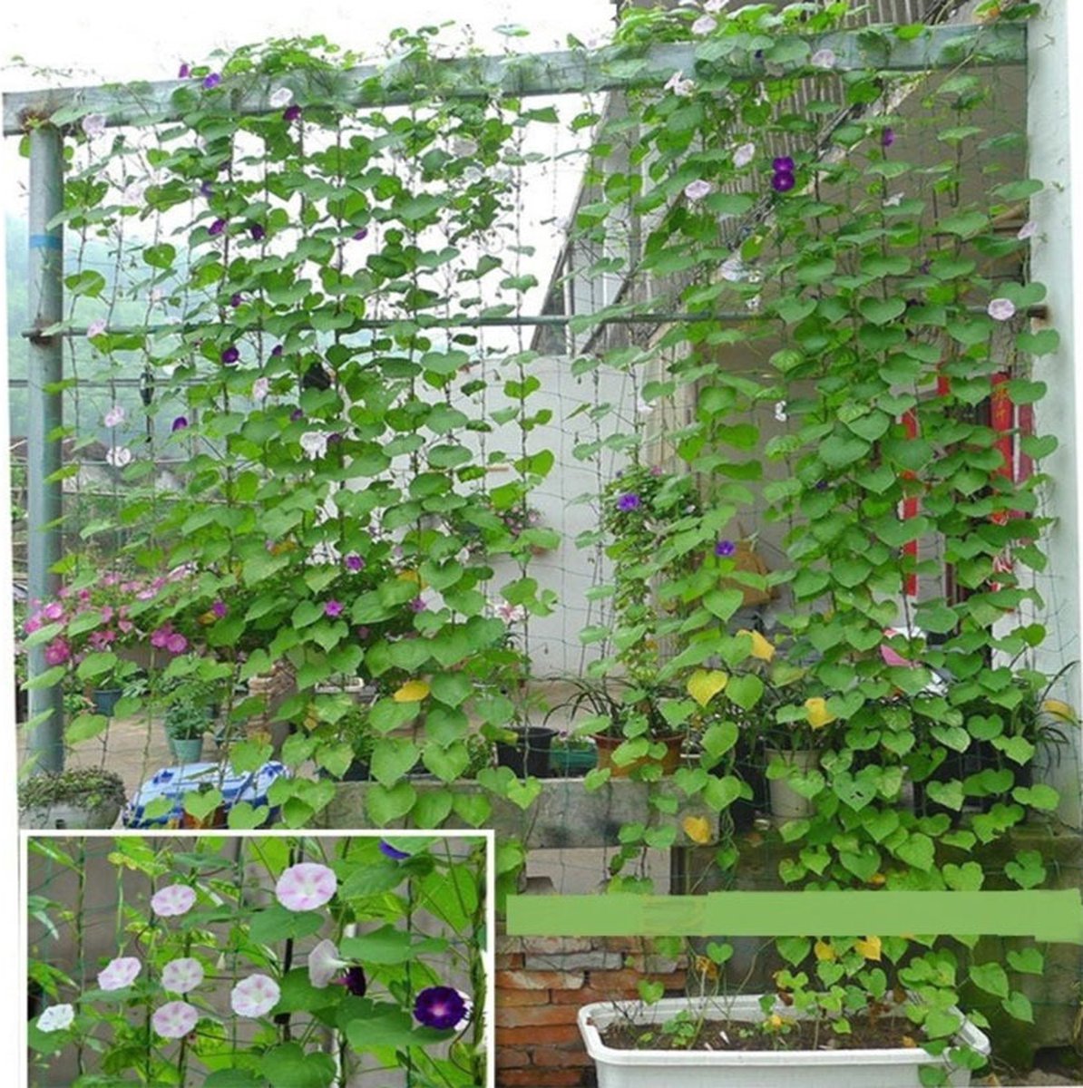 Nature klimrek kunststof 100 x 200 cm groen