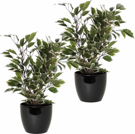 2x stuks groen/witte ficus kunstplanten 40 cm met plantenpot zwart D13.5 en H12.5 cm