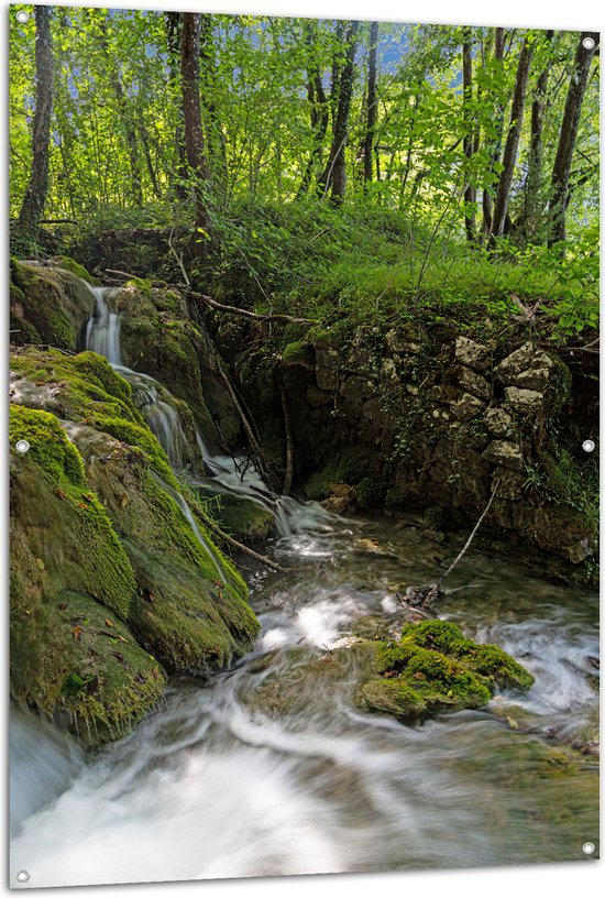 Tuinposter – Kleine Watervallen Stromend in Riviertje in het Bos - 100x150 cm Foto op Tuinposter (wanddecoratie voor buiten en binnen)