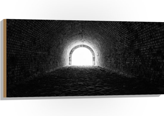 WallClassics - Hout - Donkere Tunnel - 100x50 cm - 9 mm dik - Foto op Hout (Met Ophangsysteem)