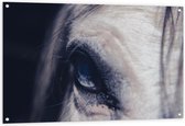 WallClassics - Tuinposter – Close up van Oog van Paard - 120x80 cm Foto op Tuinposter (wanddecoratie voor buiten en binnen)