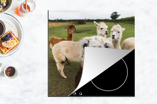 KitchenYeah® Inductie beschermer 78x78 cm - Lama - Selfie - Gras - Kookplaataccessoires - Afdekplaat voor kookplaat - Inductiebeschermer - Inductiemat - Inductieplaat mat