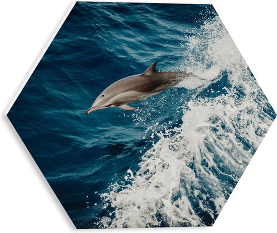 WallClassics - PVC Schuimplaat Hexagon - Springende Dolfijn in de Golvende Zee - 30x26.1 cm Foto op Hexagon (Met Ophangsysteem)