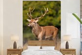 Behang - Fotobehang Dieren - Hert - Gewei - Bosdieren - Natuur - Breedte 195 cm x hoogte 300 cm