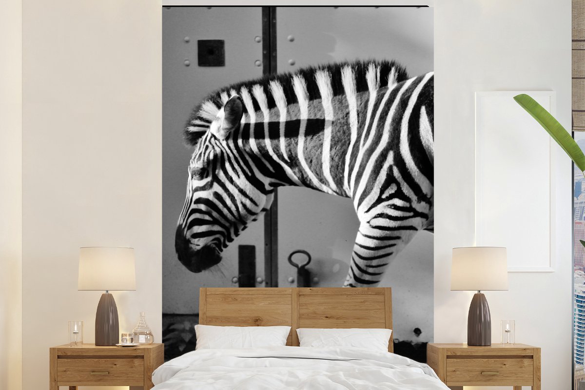 Behang - Fotobehang Zebra - Muur - Deur - Dieren - Zwart wit - Breedte 195 cm x hoogte 300 cm