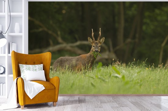 Papier peint photo peint photo vinyle - Cerf broutant largeur 420 cm x hauteur 280 cm - Tirage photo sur papier peint (disponible en 7 tailles)