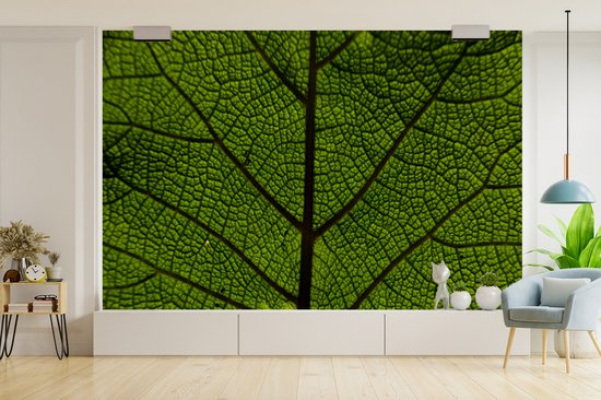 Papier peint photo peint photo vinyle - Veines des feuilles largeur 330 cm x hauteur 220 cm - Tirage photo sur papier peint (disponible en 7 tailles)