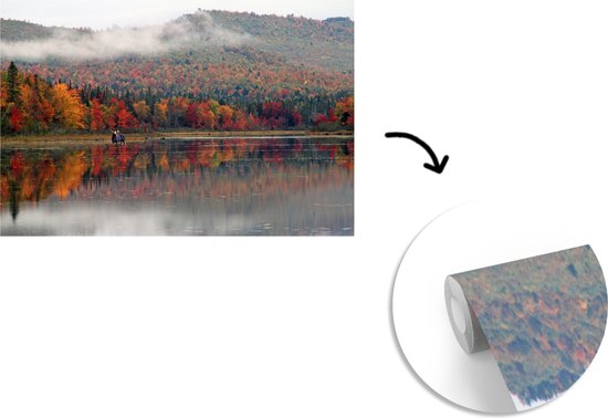 Papier peint - Papier peint photo peint Orignal dans la rivière - Largeur 390 cm x hauteur 260 cm