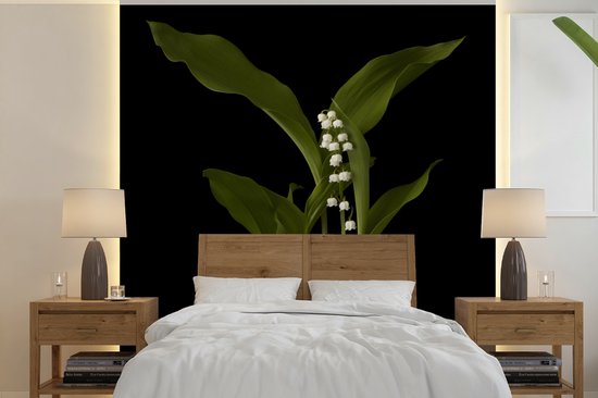 Behang - Fotobehang Een lelietje van dalen met bladeren op een zwarte achtergrond - Breedte 260 cm x hoogte 260 cm