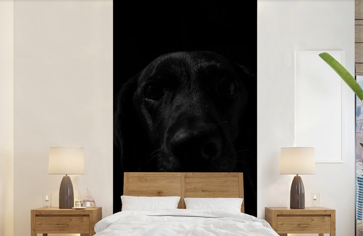 Behang - Fotobehang Hond - Huisdier - Zwart - Breedte 120 cm x hoogte 240 cm
