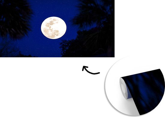 Papier peint photo vinyle - Une pleine lune dans un ciel nocturne bleu avec des étoiles largeur 465 cm x hauteur 260 cm - Tirage photo sur papier peint (disponible en 7 tailles)