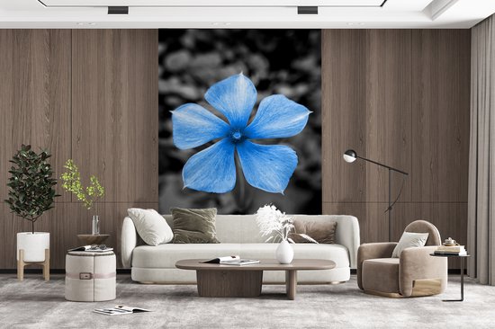 Papier peint - Papiers Papier peint photo Fleurs - Blauw - Zwart - Wit - Largeur 225 cm x hauteur 350 cm