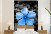 Papier peint - Papiers Papier peint photo Fleurs - Blauw - Zwart - Wit - Largeur 225 cm x hauteur 350 cm