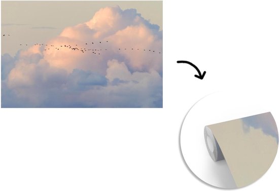 Volée d'oiseaux dans le ciel 600x400 cm