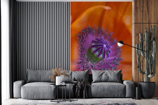 Image macro du pistil d'un coquelicot 200x300 cm