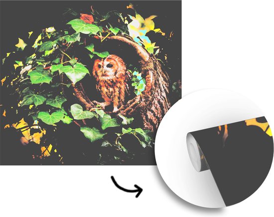 Papier peint vinyle - Un hibou fauve dans un tronc d'arbre largeur 300 cm x hauteur 300 cm - Tirage photo sur papier peint (disponible en 7 tailles)