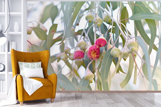 Papier peint Papier peint photo en vinyle - Fleurs d'eucalyptus roses entre les feuilles largeur 600 cm x hauteur 400 cm - Tirage photo sur papier peint (disponible en 7 tailles)