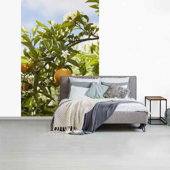 Behang - Fotobehang Sinaasappels in de boom met oranjebloesem - Breedte 225 cm x hoogte 350 cm