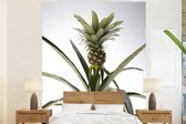 Behang - Fotobehang Ananasplant - Pot - Licht - Breedte 225 cm x hoogte 280 cm