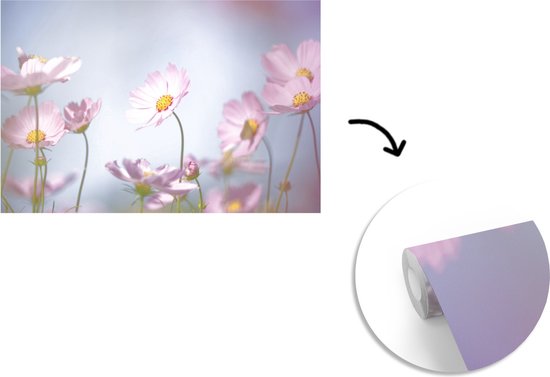 Fond d' écran - Papier peint photo - fleurs rose clair - Largeur 330 cm x hauteur 220 cm