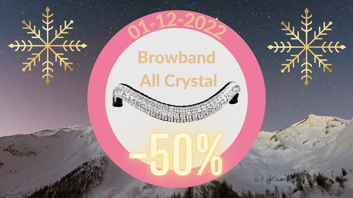 Frontriem All Crystal/Shet