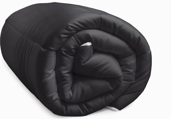 Dekbed zonder Overtrek 240x200 – Incl. Kussenslopen – Wasbaar – Zwart/Blauw | Leen Bakker