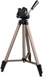 Gouden Hama Star 75 statief, staand, met zwarte poten en kop.