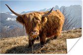 Poster Highlander écossais avec fourrure laineuse papier 180x120 cm - Tirage photo sur Poster (décoration murale salon / chambre) / Poster Animaux sauvages XXL / Groot format!
