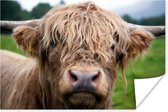 Papier pour affiche Hairy Scottish Highlander