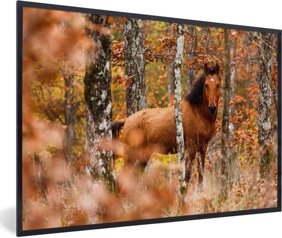 Photo encadrée - Cadre photo cheval sauvage dans la forêt noir sans passe partout 120x80 cm - Affiche encadrée (Décoration murale salon / chambre)