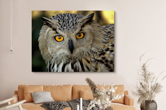 Photo d'une toile européenne hibou grand-duc d'Asie 160x120 cm - Tirage photo sur toile (Décoration murale salon / chambre) XXL / Groot format!