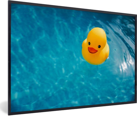 Canard de Bain dans le cadre photo lac noir sans passe partout