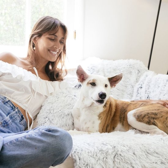 Petstages SHAG Faux Fur Blanket - Kalmerende deken voor honden en katten - Perfecte aanvulling op je Donut bed - 101 x 76 x 2,5 cm - Kleur Frost - Frost