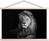 Porte-affiche avec affiche - Affiche scolaire - Animaux sauvages - Lion - noir - Wit - 60x40 cm - Lattes transparentes