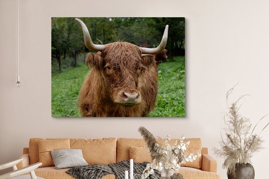 Tableau sur toile Highlander écossais - Animaux - Herbe - 160x120 cm - Décoration murale XXL
