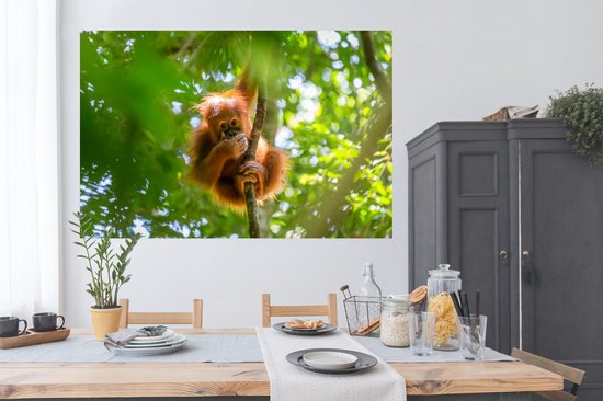 Gros plan d'un singe dans un arbre 180x120 cm XXL / Groot format!