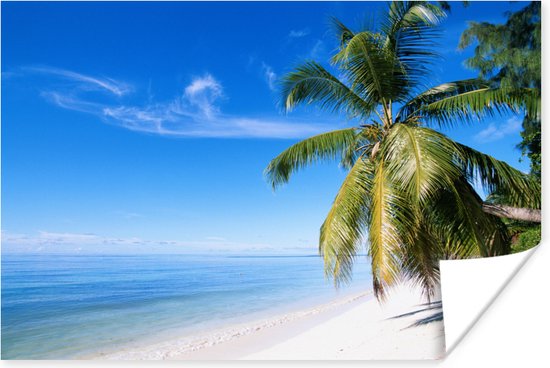 Tropisch beeld met een strand en palmbomen Poster 60x40 cm - Foto print op Poster (wanddecoratie woonkamer / slaapkamer) / Zeeën en meren Poster / Zee en Strand