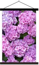 Posterhanger incl. Poster 40x60 cm - Schoolplaat - Bloemen - Hortensia - Struik - Roze - Bloemblaadjes - Textielposter - Zwarte latten