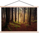 Posterhanger incl. Poster 120x80 cm - Schoolplaat - Bomen - Natuur - Bos - Textielposter - Blanke latten