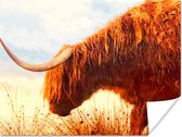 Highlander écossais aux beaux tons orange Poster 40x30 cm - petit - Tirage photo sur Poster (décoration murale salon / chambre) / Poster Animaux sauvages