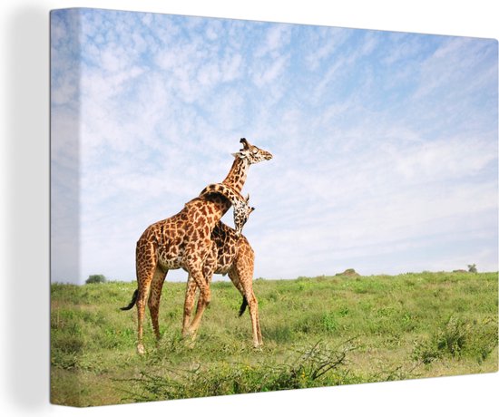 Canvas schilderij 180x120 cm - Wanddecoratie Twee giraffen op de savannes van het Nationaal park Serengeti in Afrika - Muurdecoratie woonkamer - Slaapkamer decoratie - Kamer accessoires - Schilderijen