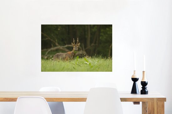 Poster Cerf pâturage papier 60x40 cm - Tirage photo sur Poster (décoration murale salon / chambre) / Poster Animaux sauvages