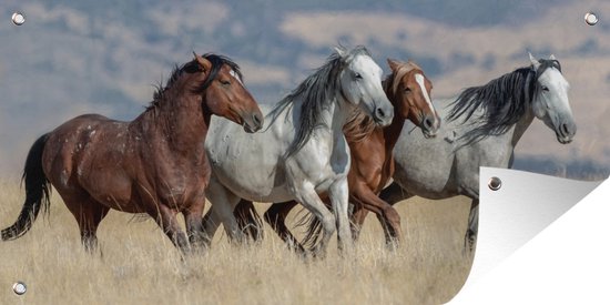 Tuinposter Vier wilde mustang paarden rennen door het gras - 90x40 cm - Wanddecoratie Buiten - Tuinposter - Tuindoek - Schuttingposter - Tuinschilderij