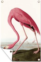 Tuinposter - Tuindoek - Tuinposters buiten - Flamingo - Vogel - Vintage - Water - Roze - 80x120 cm - Tuin